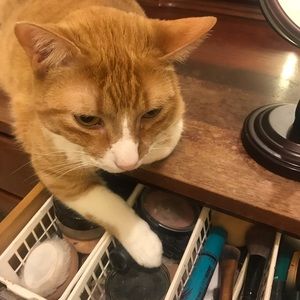 Meet your Posher, Marilyn